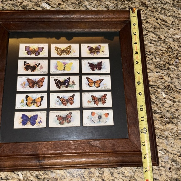 Vintage 1932 John Player Cigarette Cards BUTTERFLIES in Beautiful Wooden Frame - Picture 8 of 8